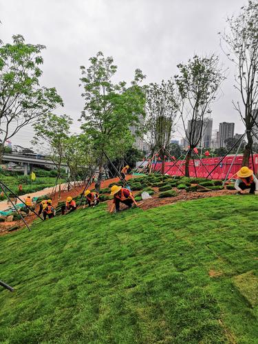 國藝園林大沙河生態(tài)長廊景觀項目綠化工程II標 假山的藝術(shù)與生態(tài)融合