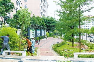 定鼎園林 專業(yè)園林景觀工程施工一站式解決方案